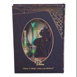 Absinthe Journal (LP) 17cm