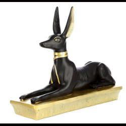 Anubis Laying