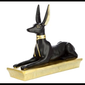 Anubis Laying