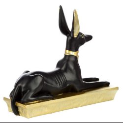 Anubis Laying