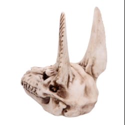 Anubis Skull 17cm
