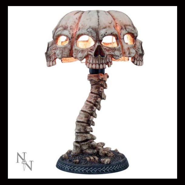 Atrocity Natural Bone Skull and Spine Lamp 37.5cm