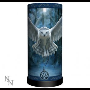 Awaken Your Magic Lamp (AS) 27.5cm