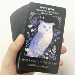 Beast Soul Oracle Cards