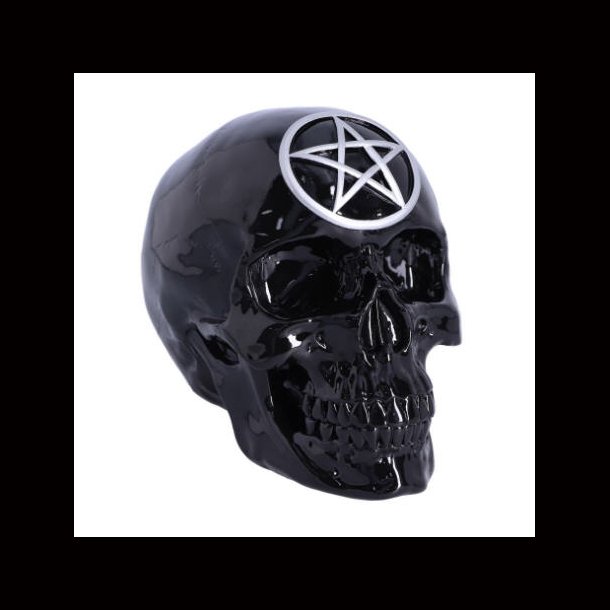 Black Magic 19.5cm