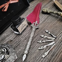 Caligraphy set with goose quill, ink and seal stamp