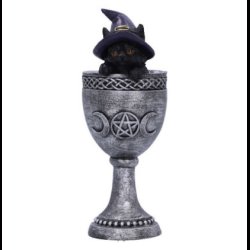 Coven Cup 15.7cm