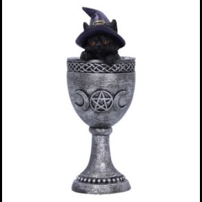 Coven Cup 15.7cm