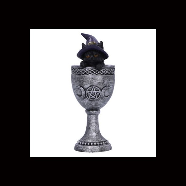 Coven Cup 15.7cm