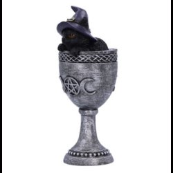 Coven Cup 15.7cm