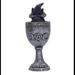 Coven Cup 15.7cm