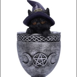 Coven Cup 15.7cm