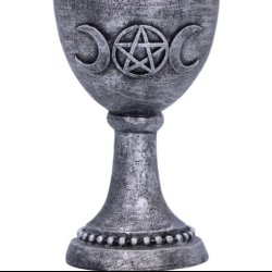 Coven Cup 15.7cm