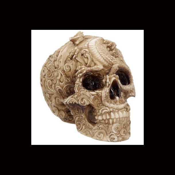 Cranial Drakos