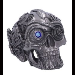 Cybertron Silver Skull 16.5cm