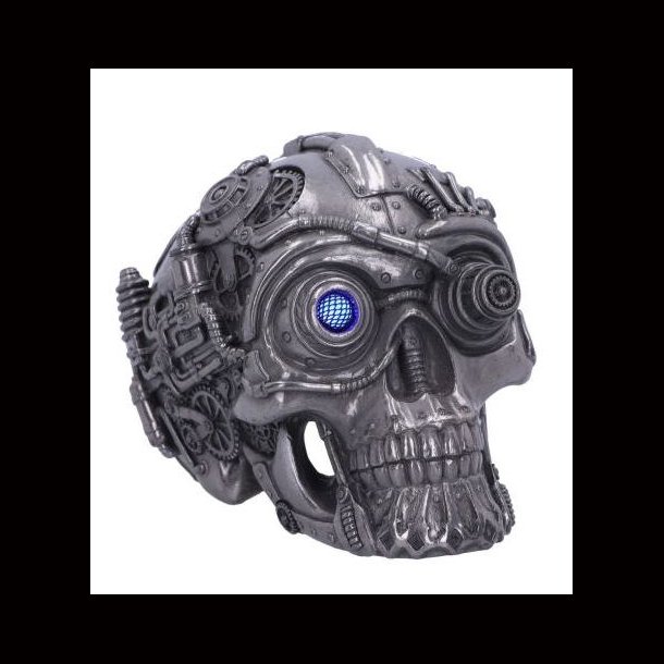 Cybertron Silver Skull 16.5cm