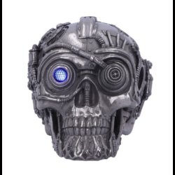 Cybertron Silver Skull 16.5cm
