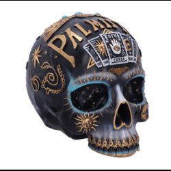 Destiny Palmistry Skull 18cm