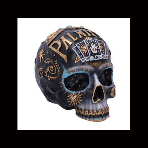 Destiny Palmistry Skull 18cm