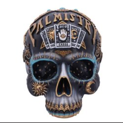 Destiny Palmistry Skull 18cm