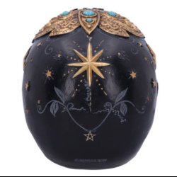 Destiny Palmistry Skull 18cm