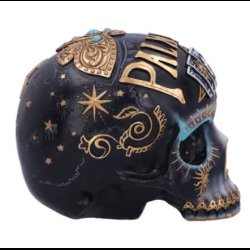 Destiny Palmistry Skull 18cm