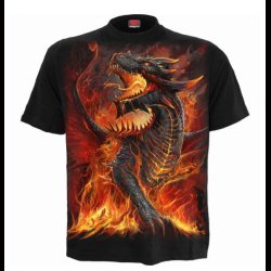 Draconis T-shirt  Spiral Direct