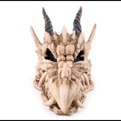 Dragon Skull Money Box