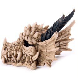 Dragon Skull Money Box