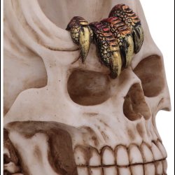 Dragon Within Backflow Incense Burner 