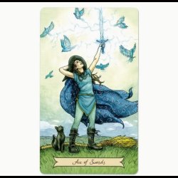 Everyday Witch Tarot Deck by Deborah Blake