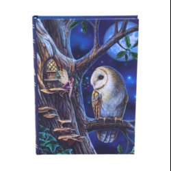 Fairy Tales Journal (LP) 17cm