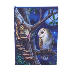 Fairy Tales Journal (LP) 17cm