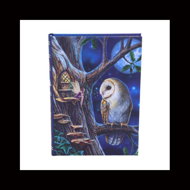 Fairy Tales Journal (LP) 17cm
