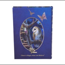 Fairy Tales Journal (LP) 17cm