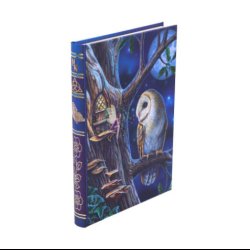 Fairy Tales Journal (LP) 17cm