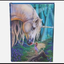 Fairy Whispers by Lisa Parker journal or notebook, A5 hardback, blank, unicorn