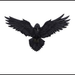 Flight of the Raven Wall Hanging Decoration 35cm