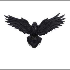 Flight of the Raven Wall Hanging Decoration 35cm