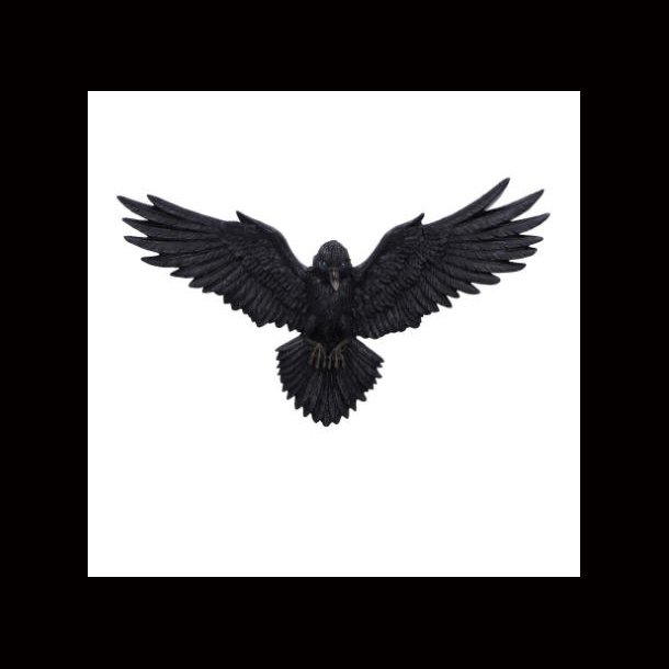 Flight of the Raven Wall Hanging Decoration 35cm