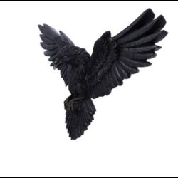 Flight of the Raven Wall Hanging Decoration 35cm