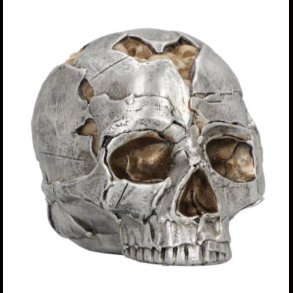 Fracture Large Skull Ornament 16cm