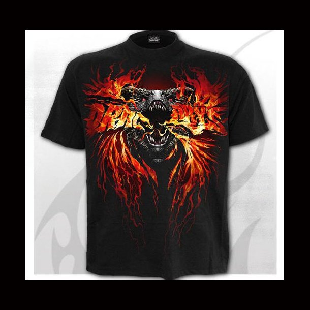 GOT - Fire And Blood - T-Shirt Black
