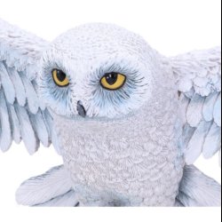 Harry Potter Hedwig Wall Plaque 45cm
