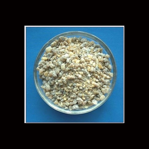 Indian Frankincense (Boswellia Serrata) 30 gm bag
