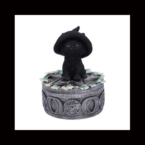 Ivy Familiar Box 15cm