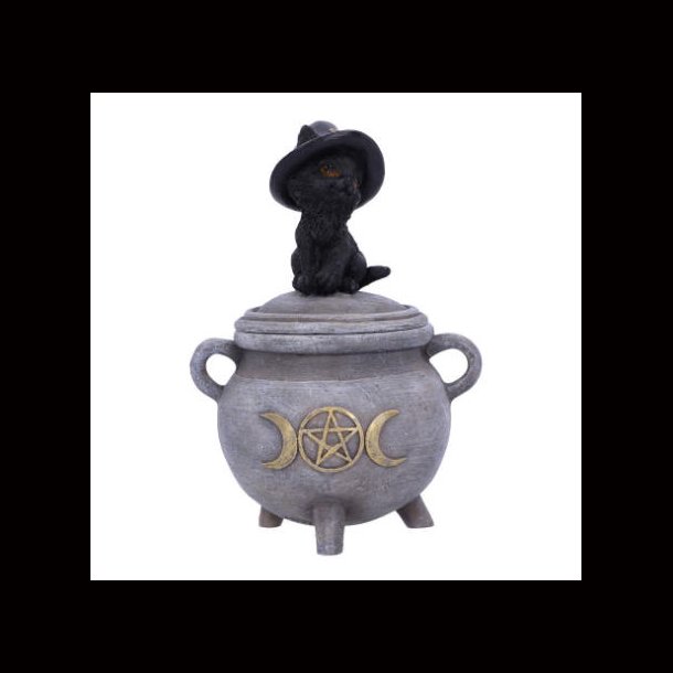 Kitty's Brew 14cm
