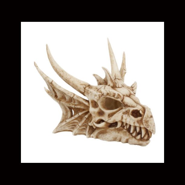 Lumo  Luminescent Dragon Skull 25cm