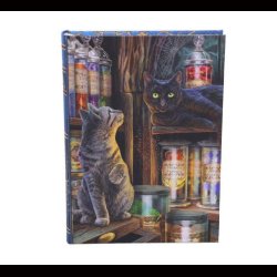 Magical Emporium Journal (LP) 17cm