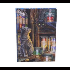 Magical Emporium Journal (LP) 17cm